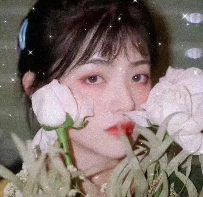 森林孤影